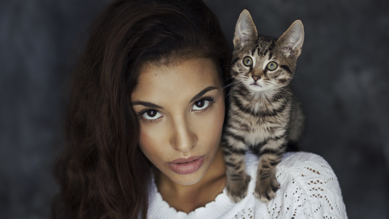 Красивая девушка с серым котенком на плече 