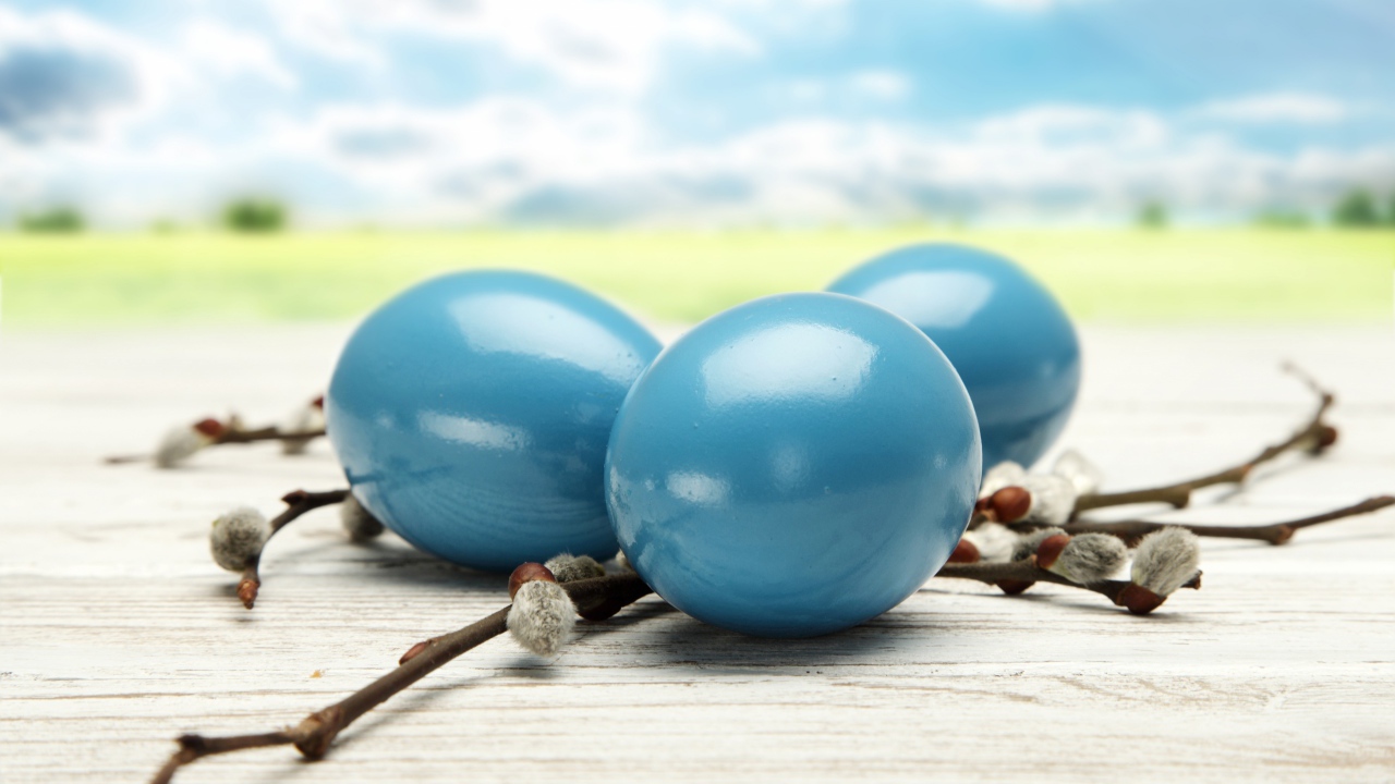 Синие пасхальные яйца и ветки вербы 