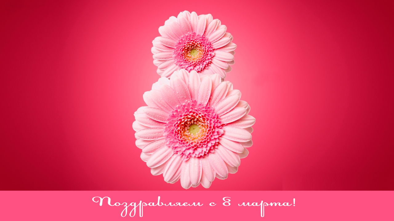 Восьмерка из гербер на 8 Марта