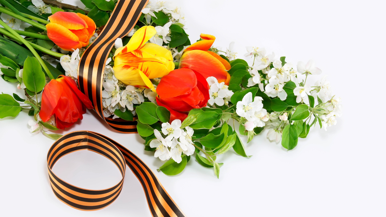 Цветы и георгиевская ленточка на 9 мая на белом фоне 
