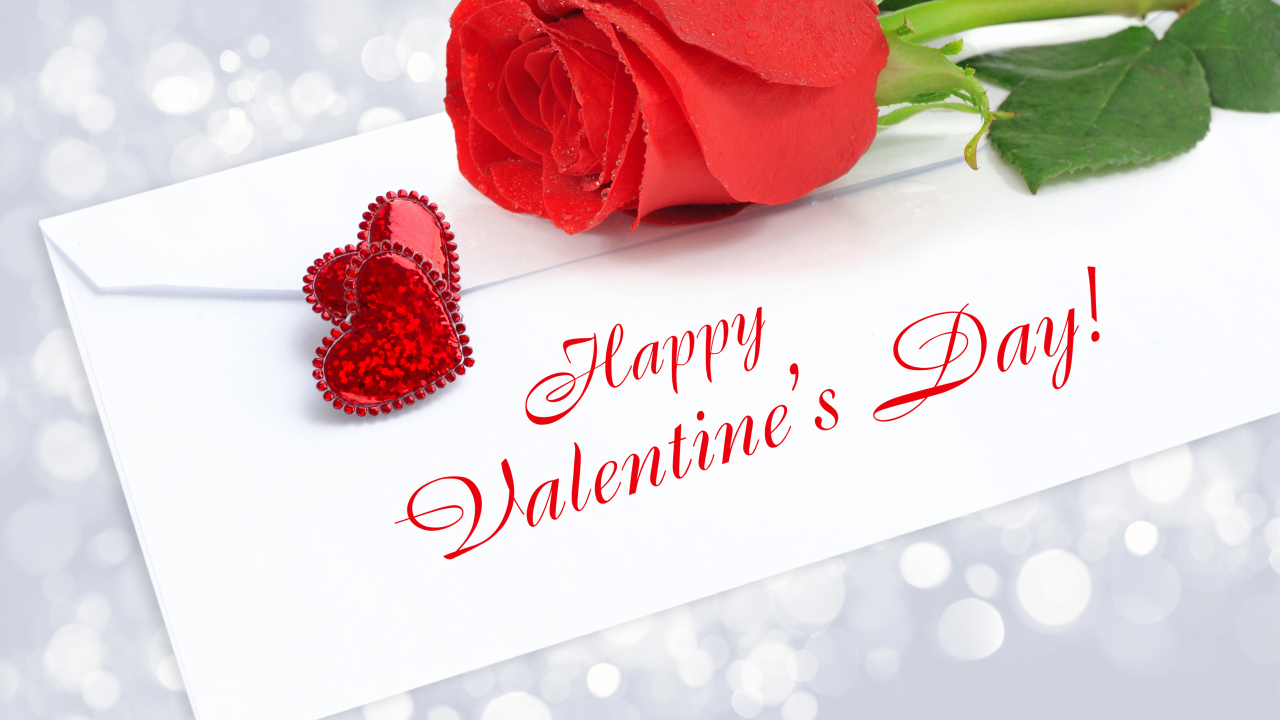 Красная красивая роза и письмо на День Святого Валентина, 14 февраля