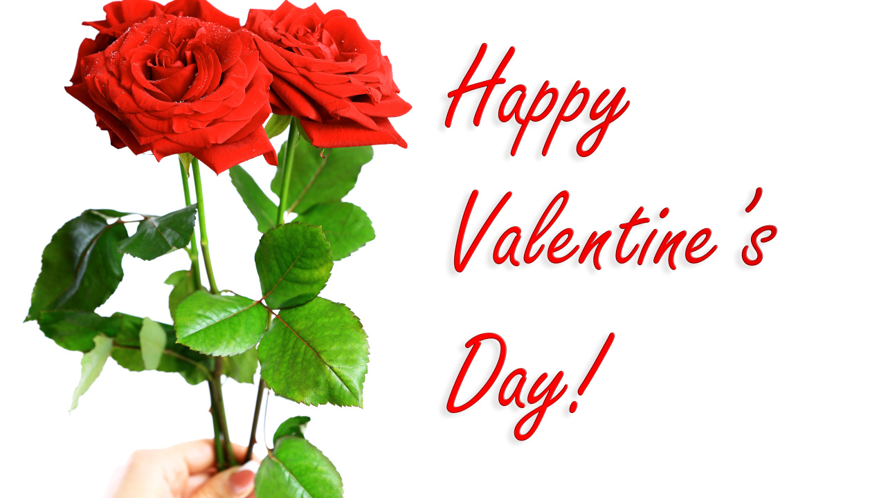 Три красных розы на День Святого Валентина, 14 февраля