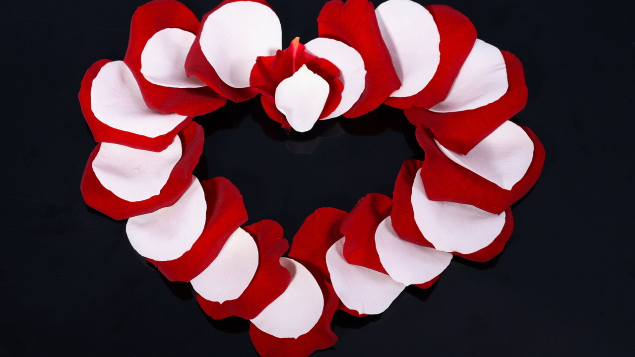 Сердце из лепестков розы 