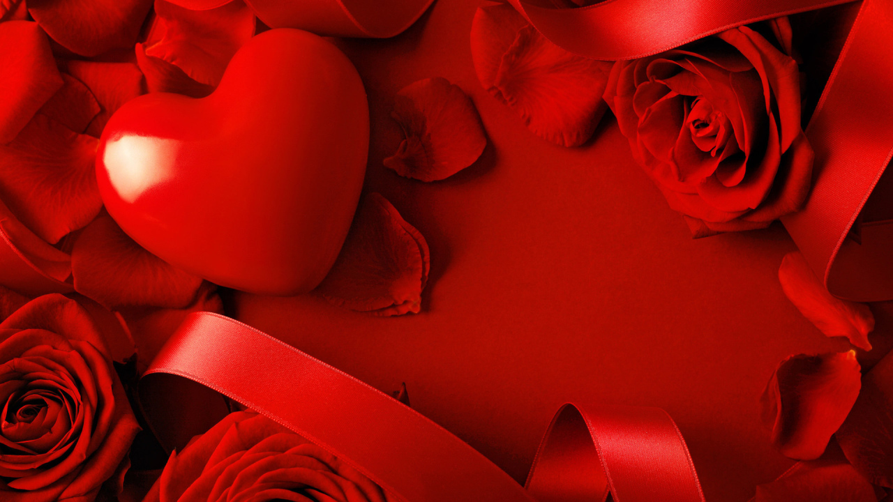 Красное сердце в лепестках красной розы  