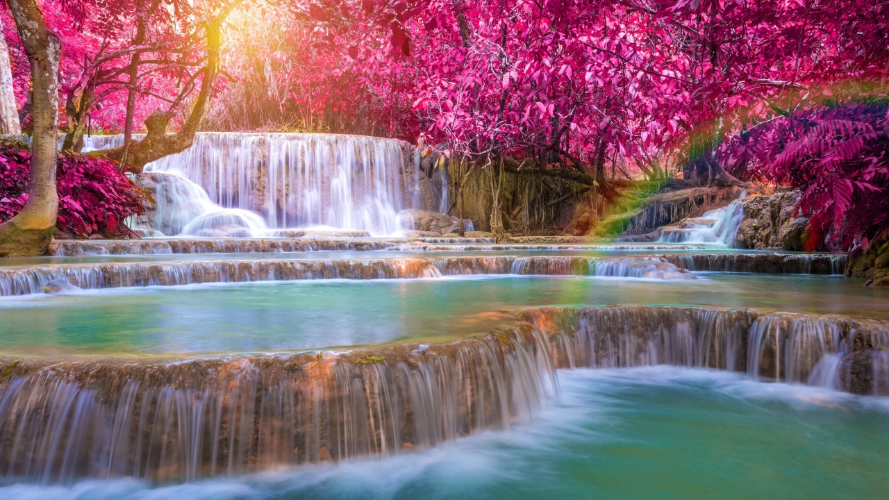 Красивые деревья с красными листьями у водопада 