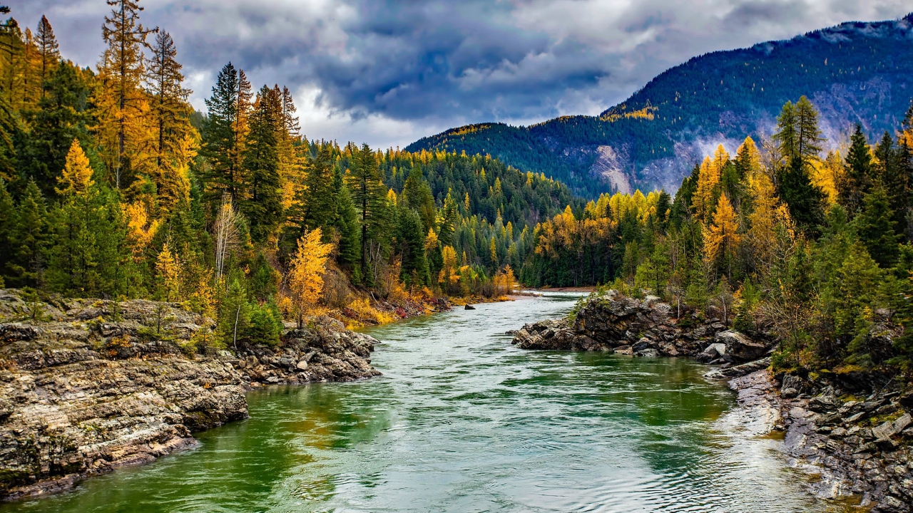 Чистая река в горах 