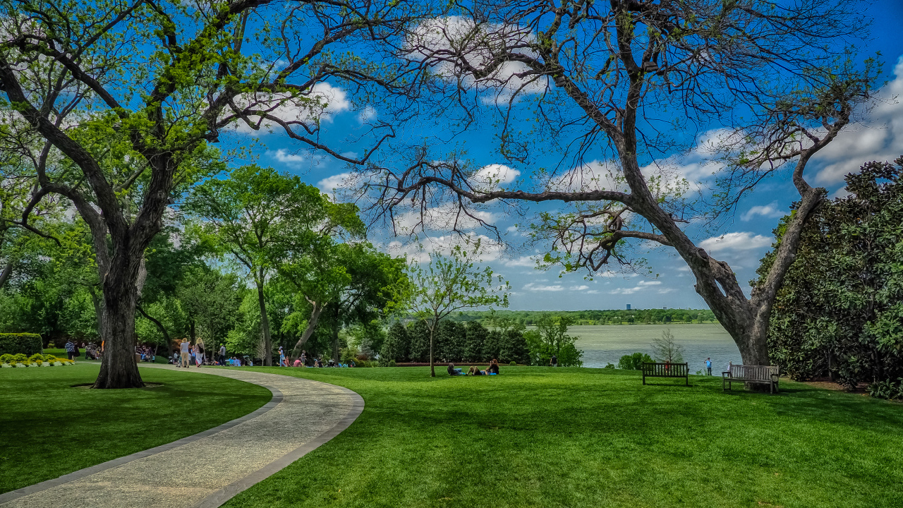 Зеленые газоны в парке на фоне красивого голубого неба