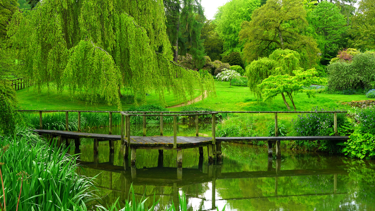 Зеленые деревья над старым мостом у пруда в парке