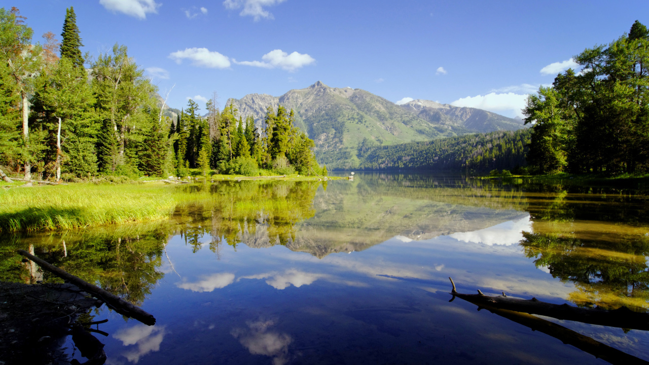 Живописная природа у горного озера 