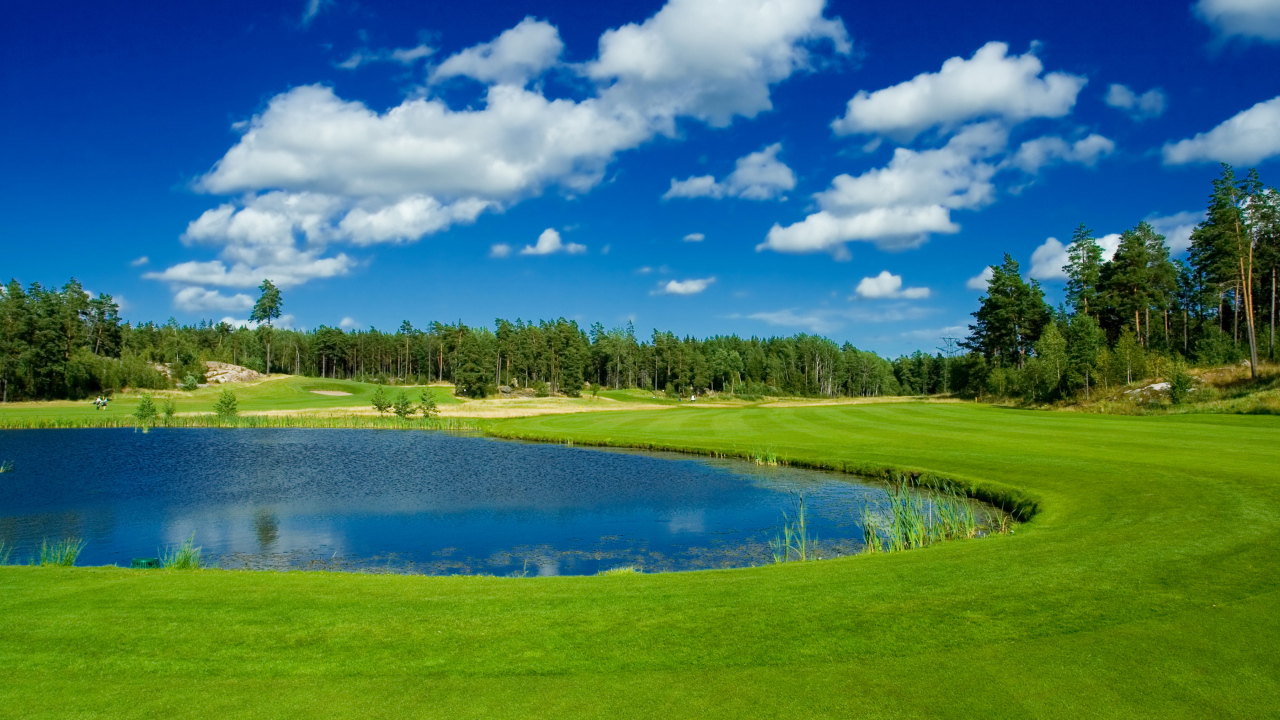 Пруд в парке у зеленого газона на фоне голубого неба