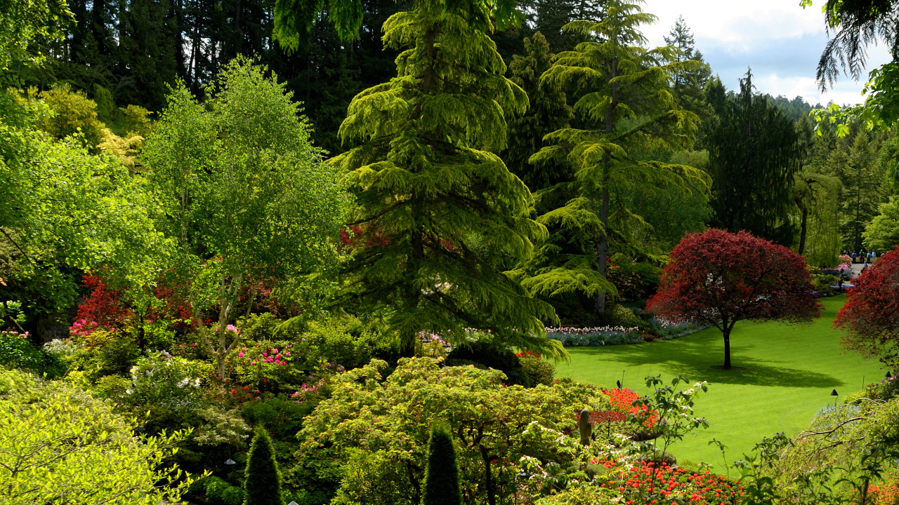 Живописный зеленый парк Канады