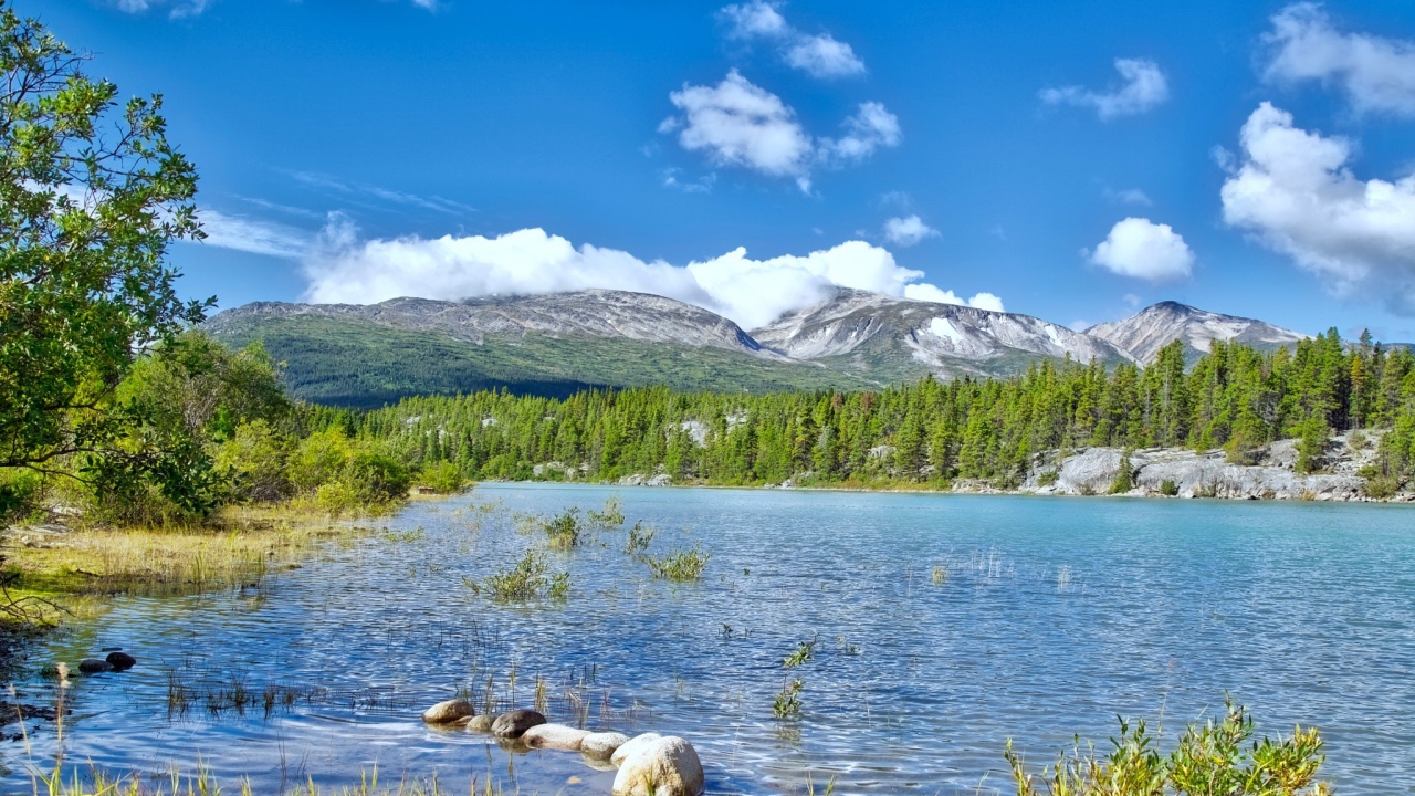 Летний пейзаж природы Аляски 
