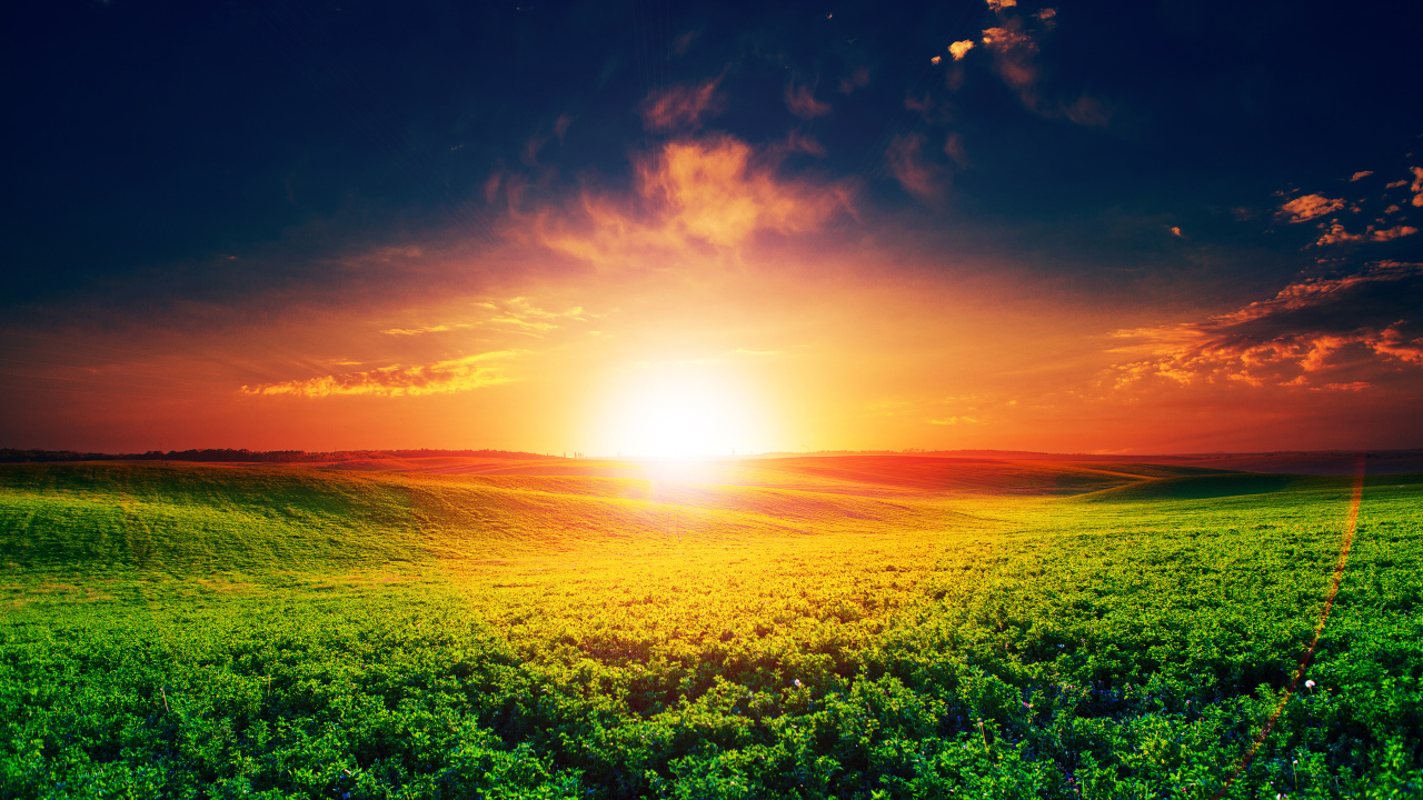 Восход яркого летнего солнца над полем