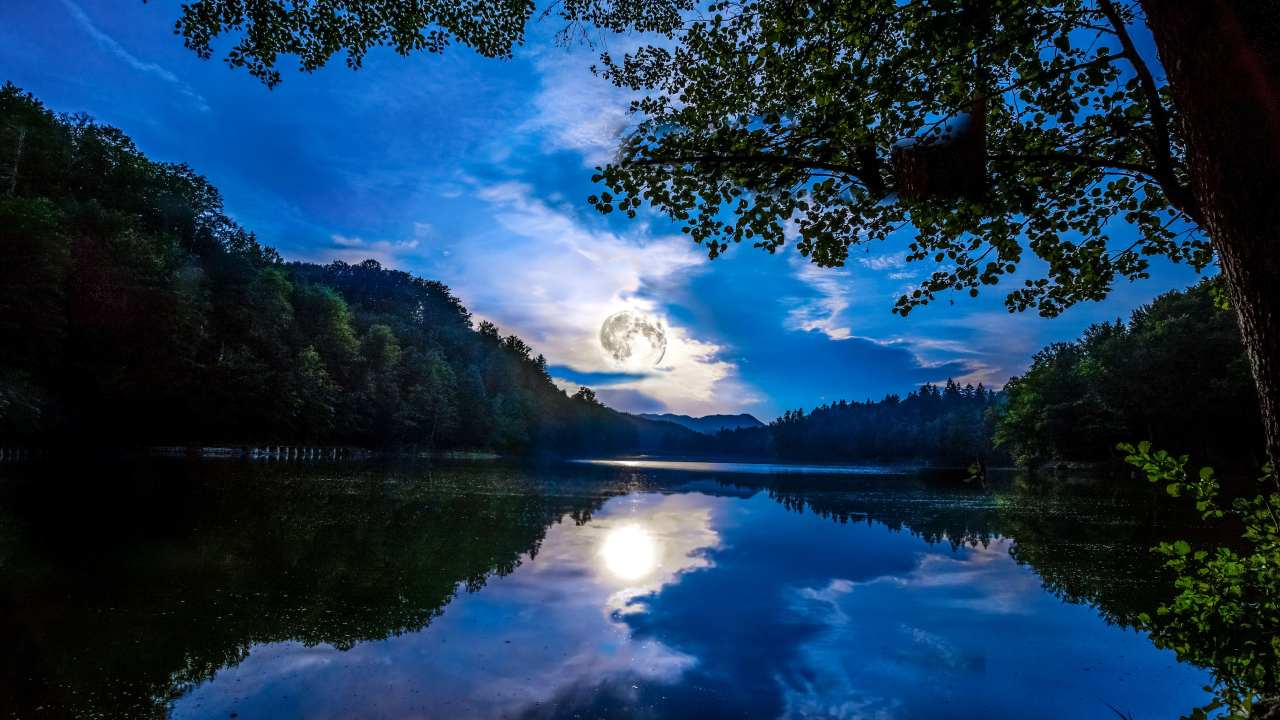 Большая луна отражается в водоеме 