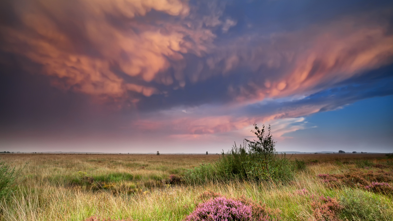 Красивые низкие облака в небе над полем