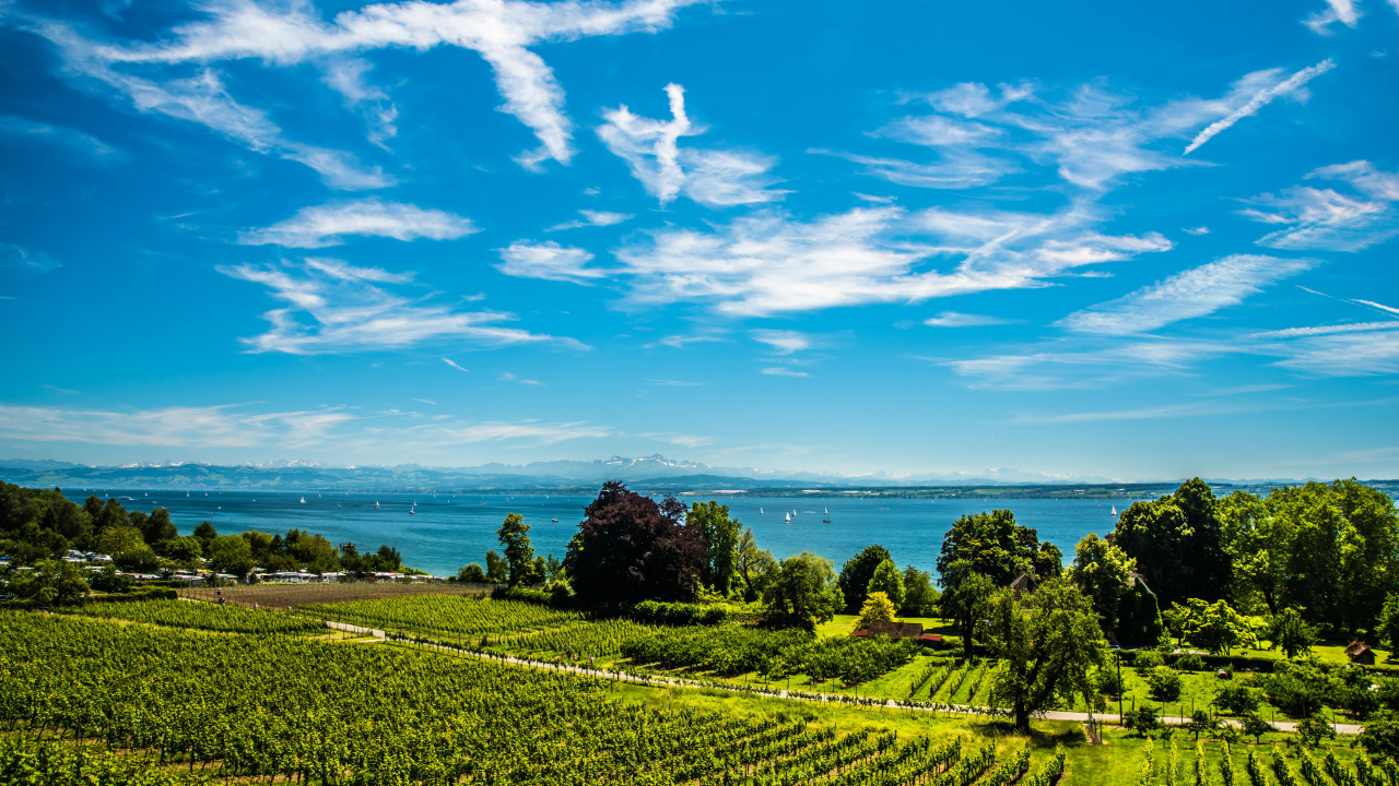 Красивые белые облака в небе над полем и озером