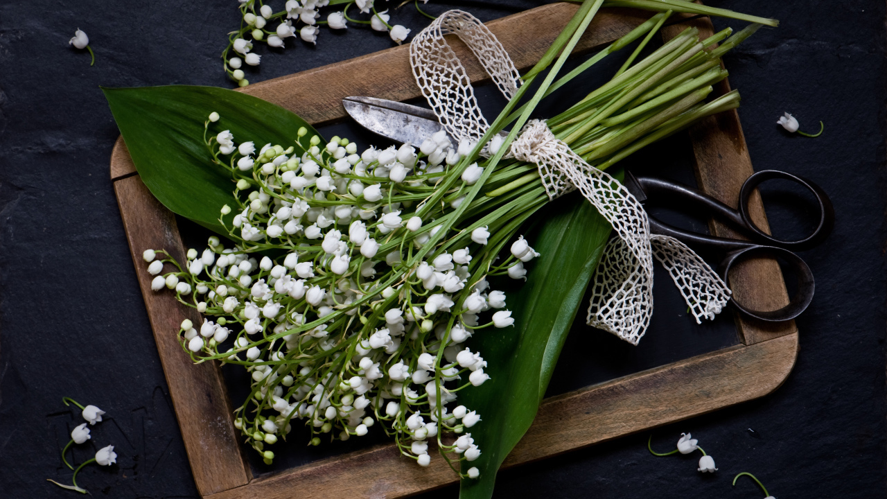 Букет белых ландышей с ножницами на столе