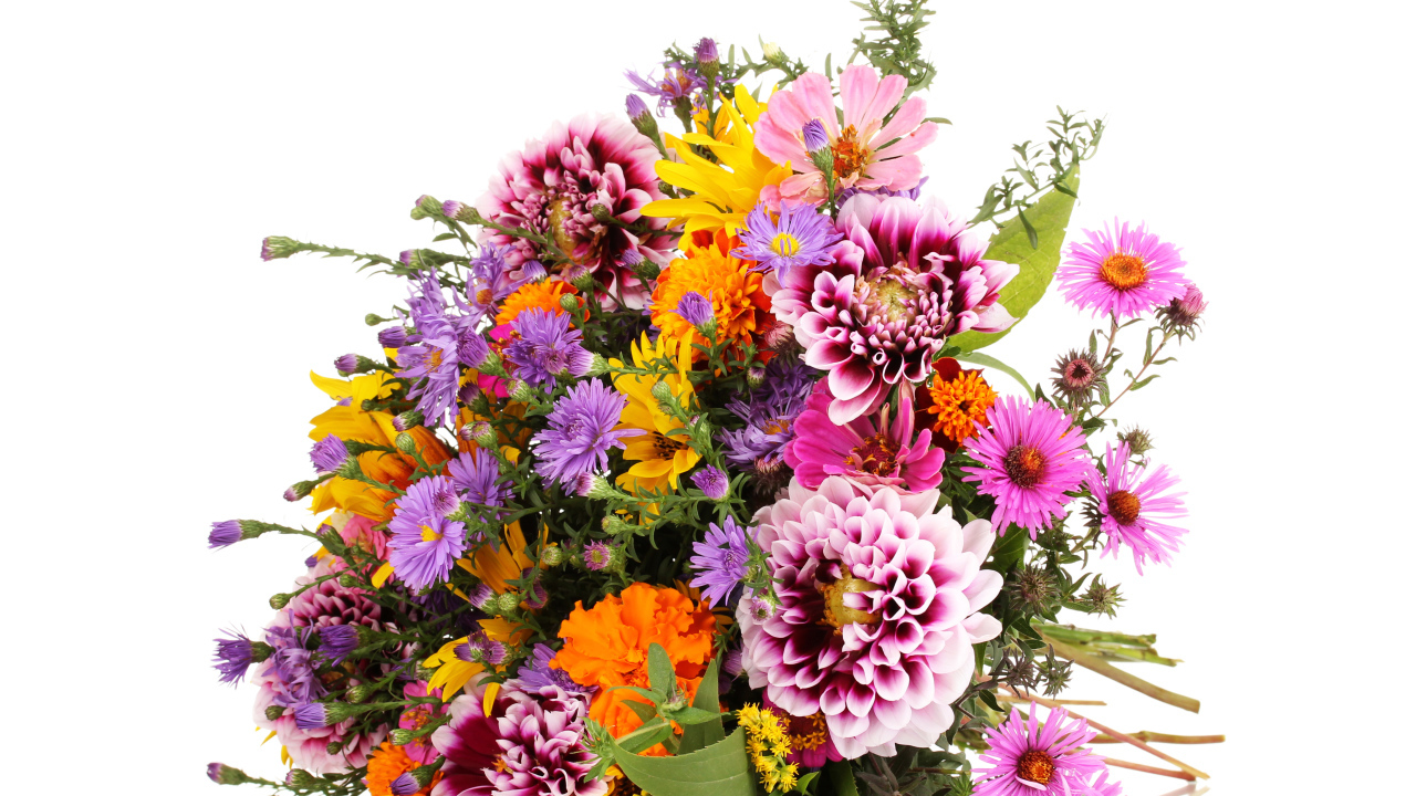 Красивый большой букет осенних цветов на белом фоне