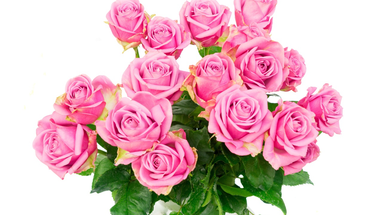 Красивый большой букет розовых роз на белом фоне