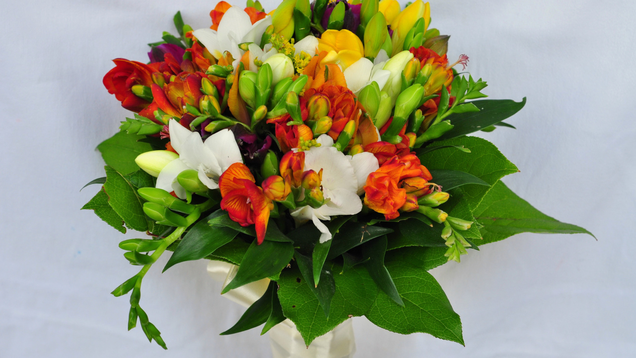 Красивый букет фрезий на сером фоне