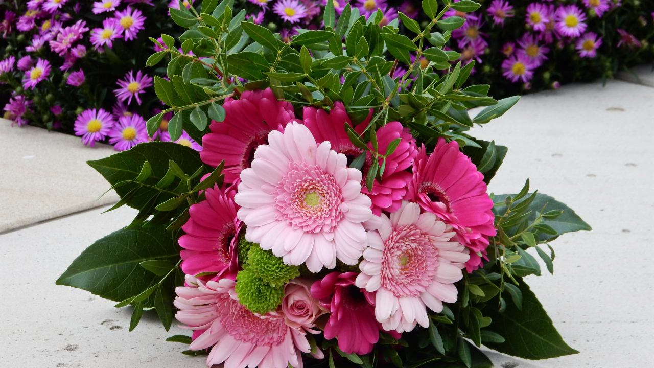 Красивый букет розовых гербер 