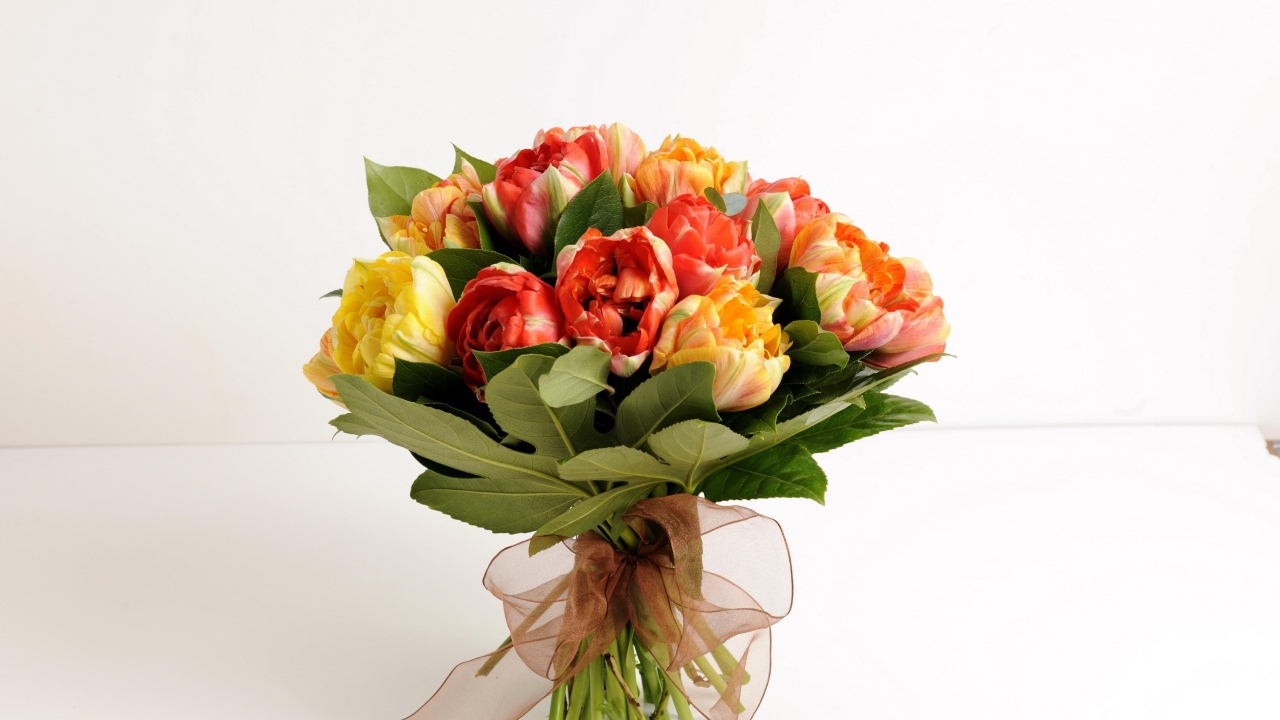 Красивый букет тюльпанов на белом фоне