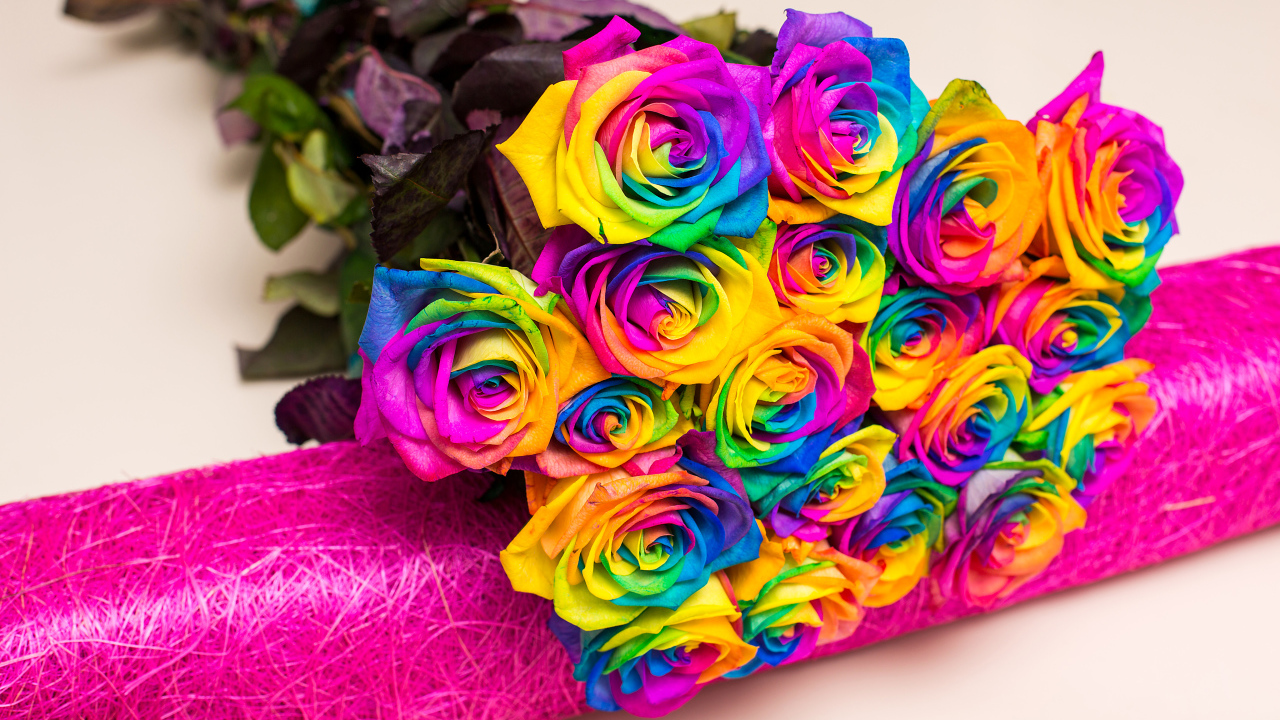 Букет разноцветных ярких роз на сером фоне