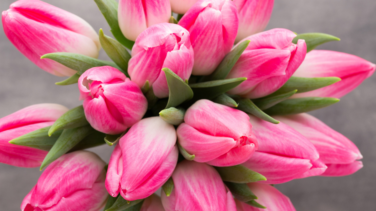 Букет нежных розовых тюльпанов 