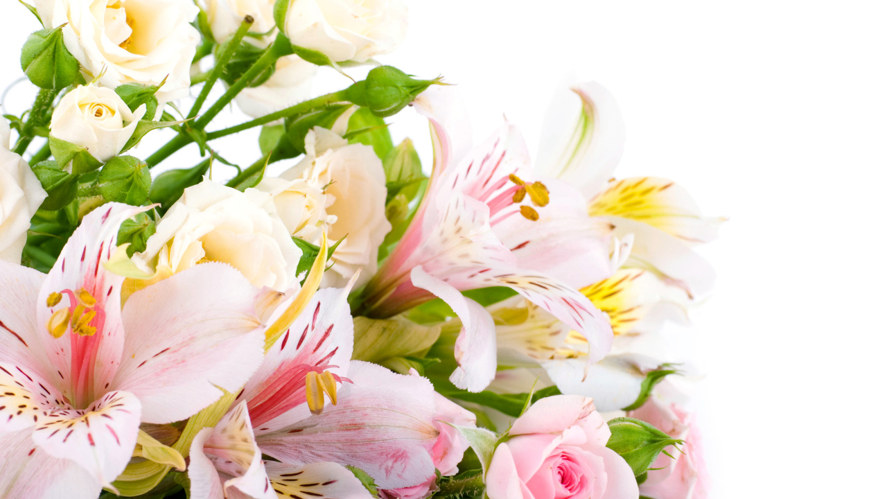 Букет из розовых и белых роз и цветов альстрёмерия на белом фоне