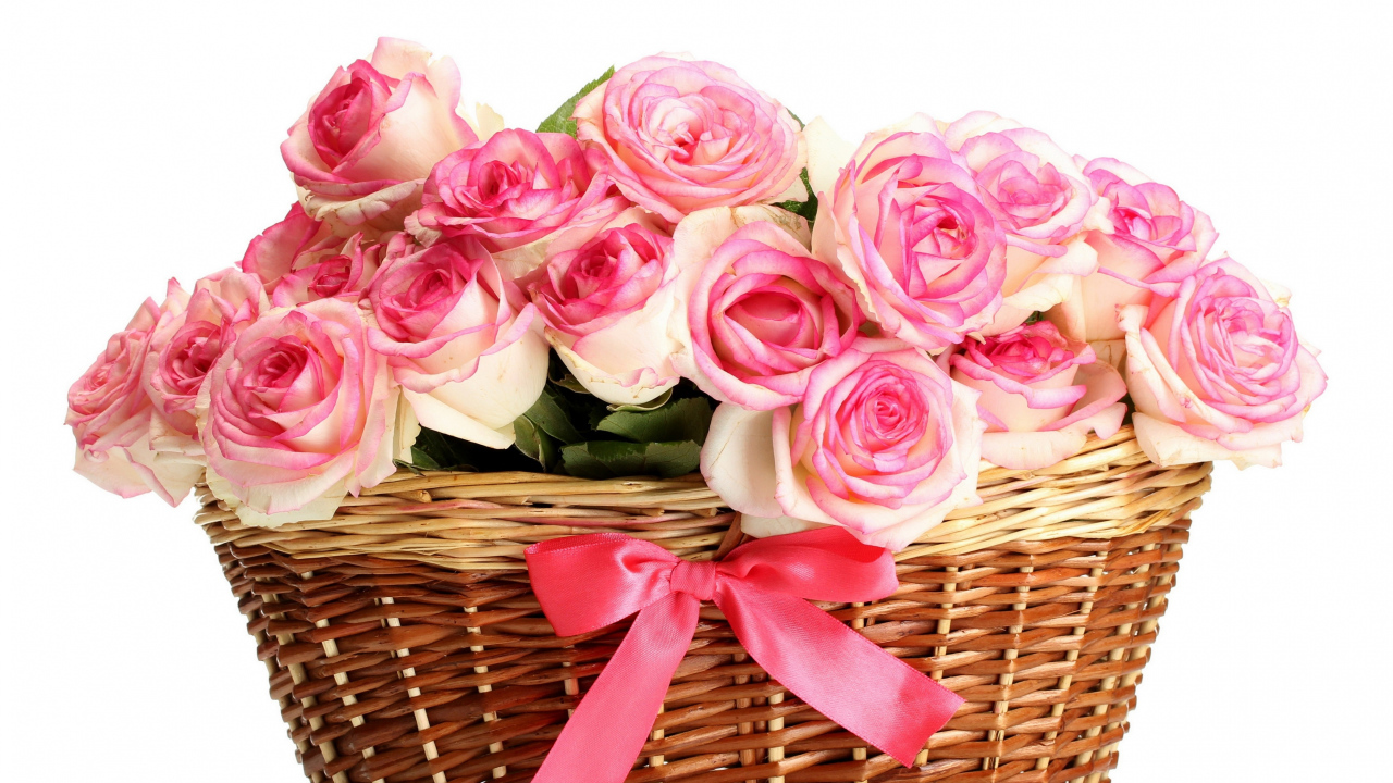 Букет розовых роз в корзине на белом фоне