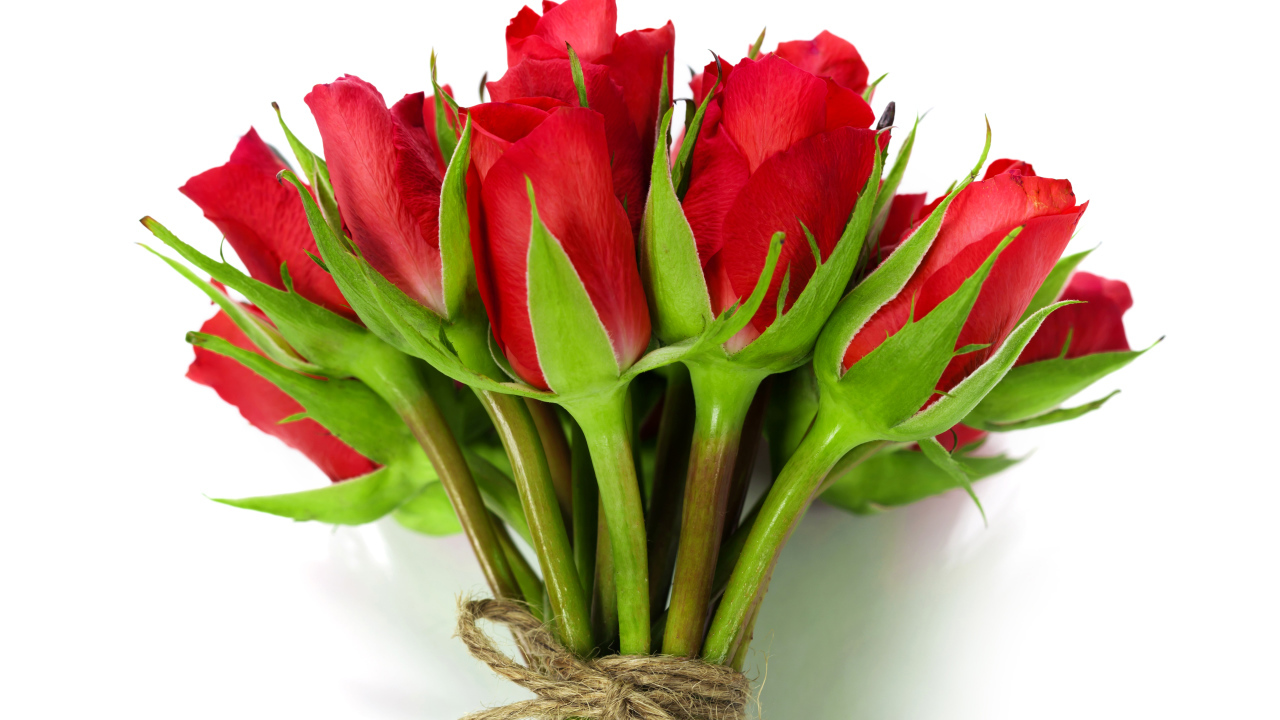 Букет красных роз перевязан веревкой на белом фоне