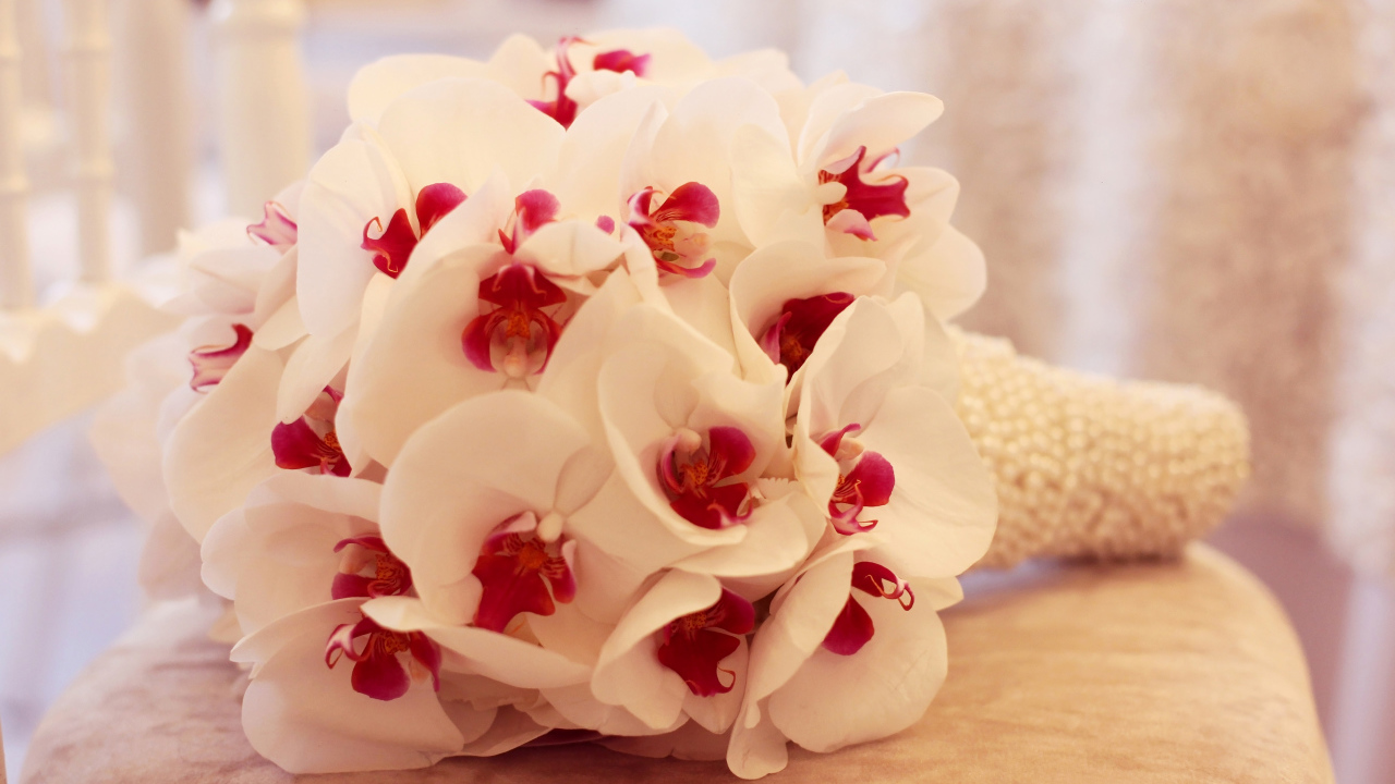 Нежный букет белой орхидеи