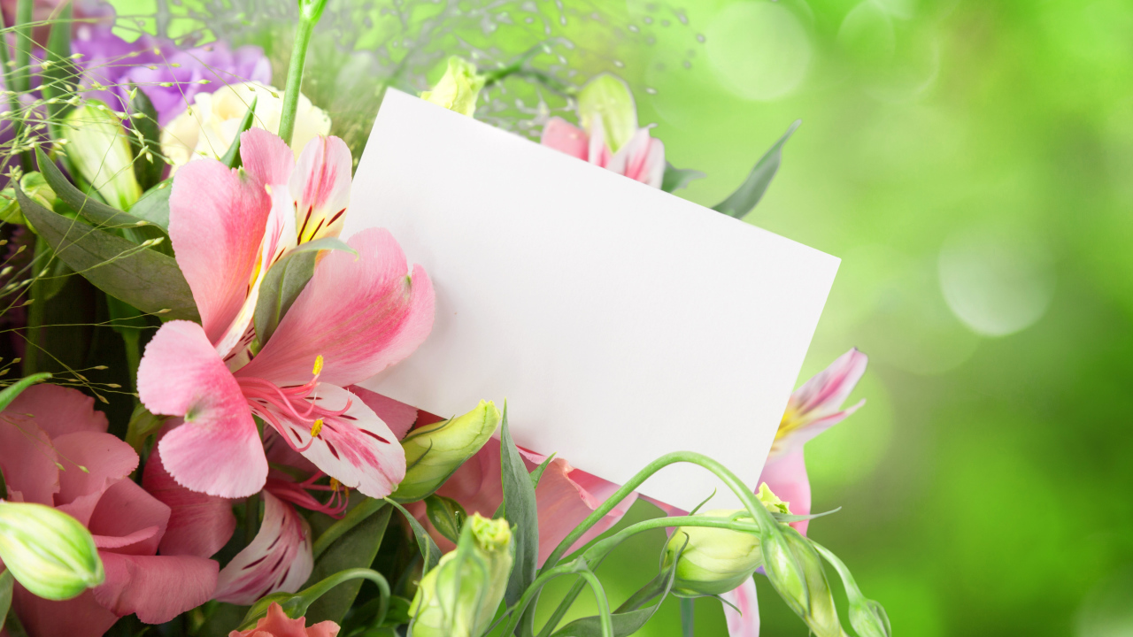 Цветы альстрёмерия и эустома, шаблон для открытки