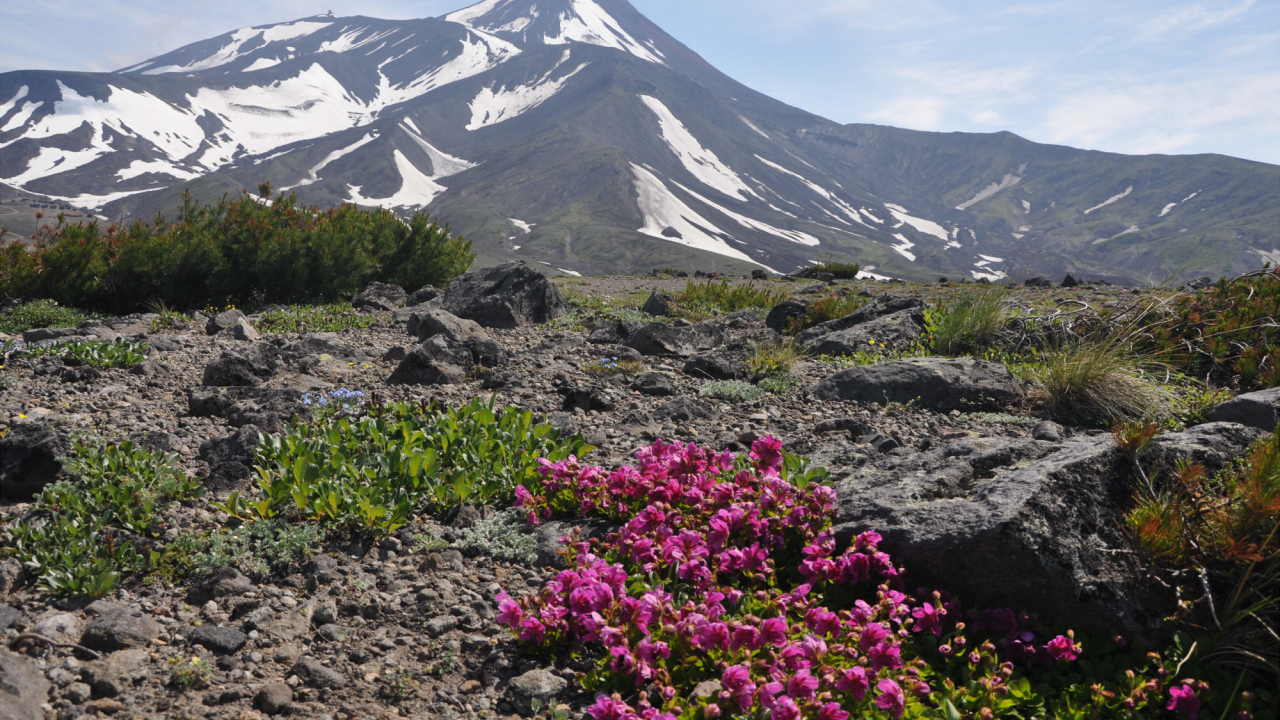 Вершина Авачинского вулкана, Камчатка. Россия 