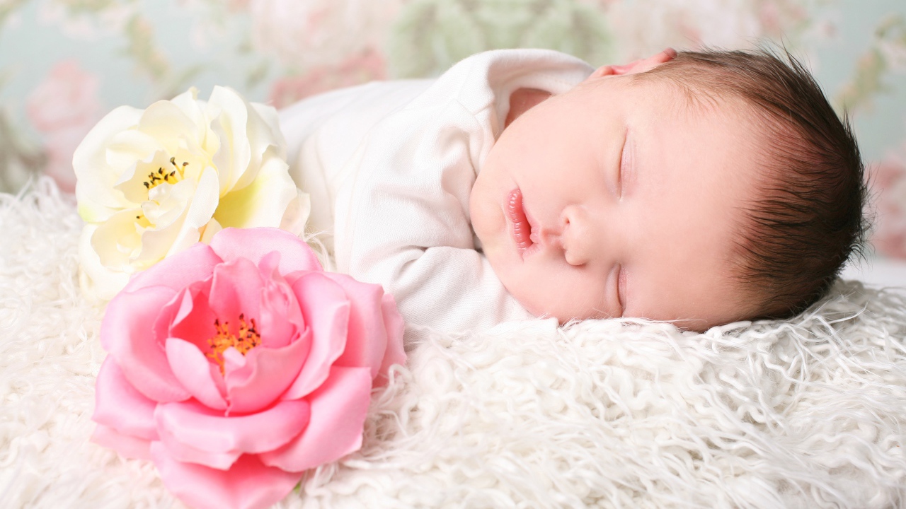 Милая маленькая девочка спит с двумя розами