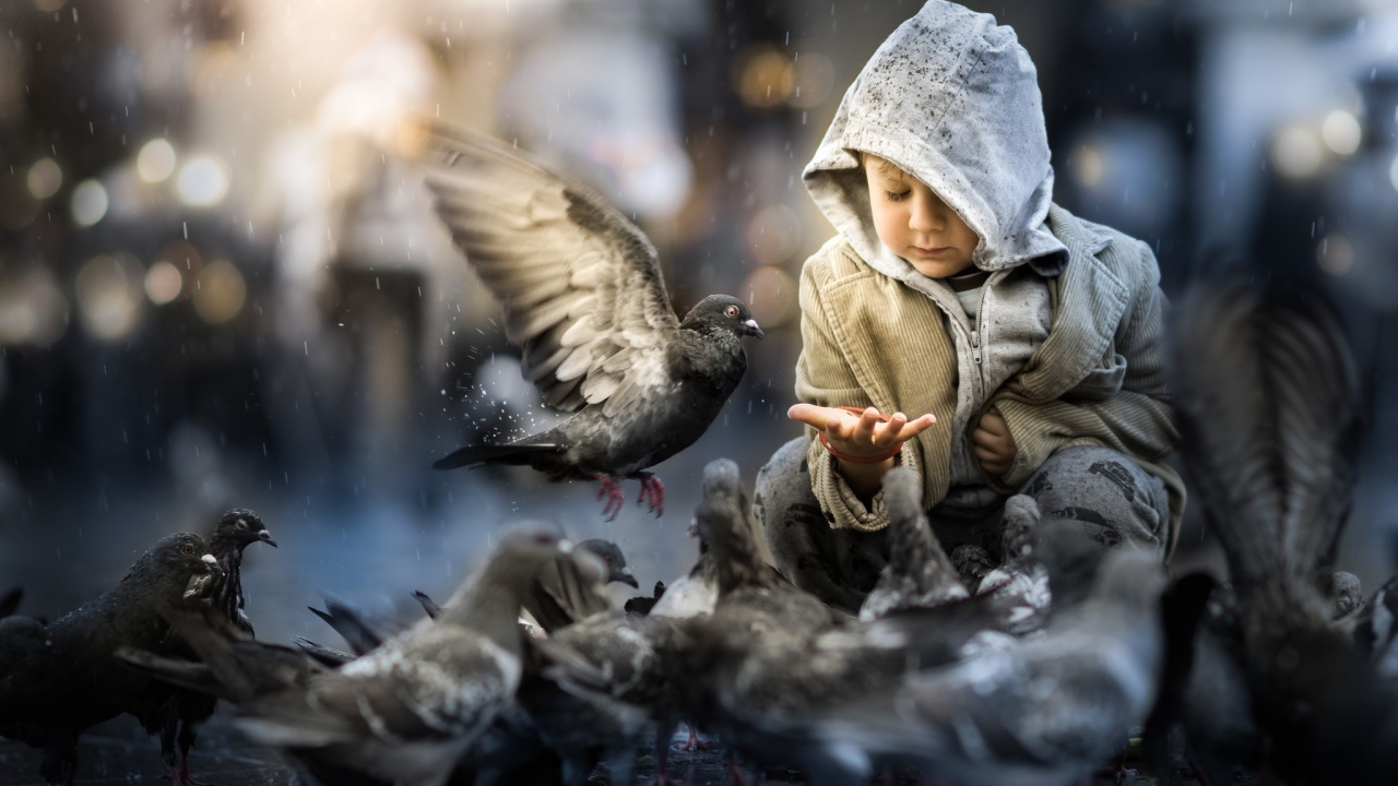 Маленький ребенок кормит голубей 