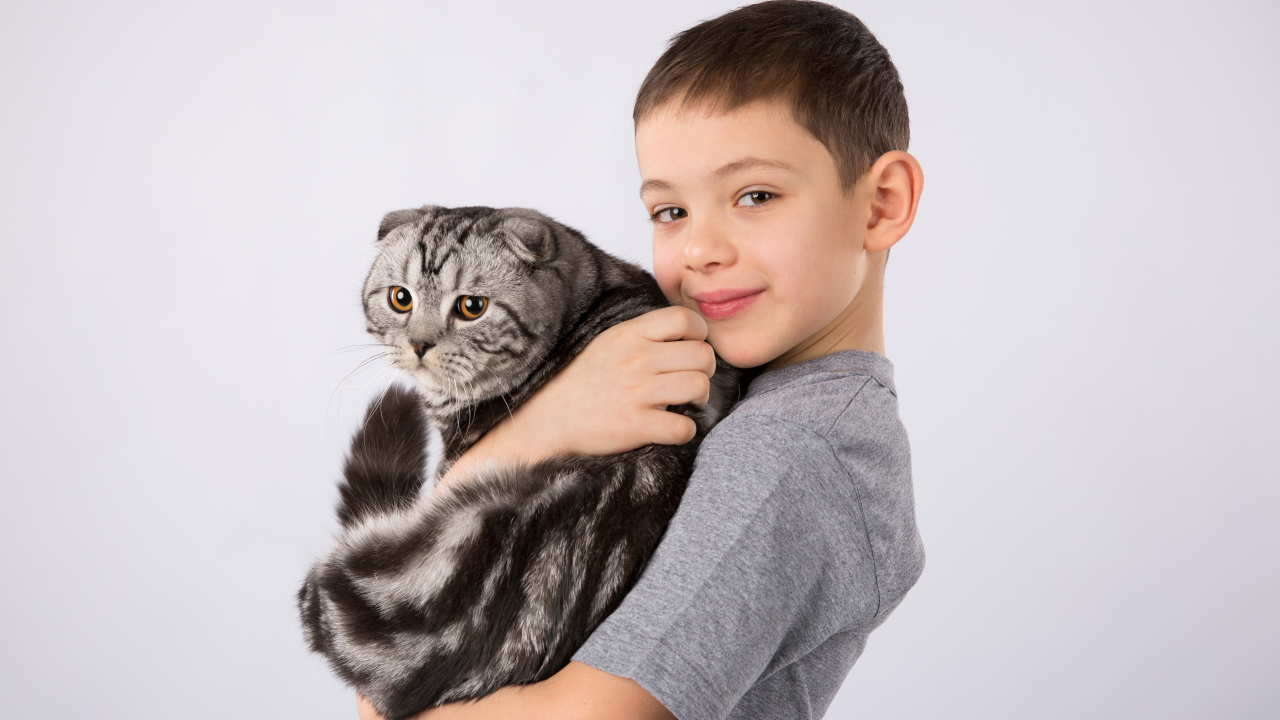 Маленький мальчик с большим котом на сером фоне