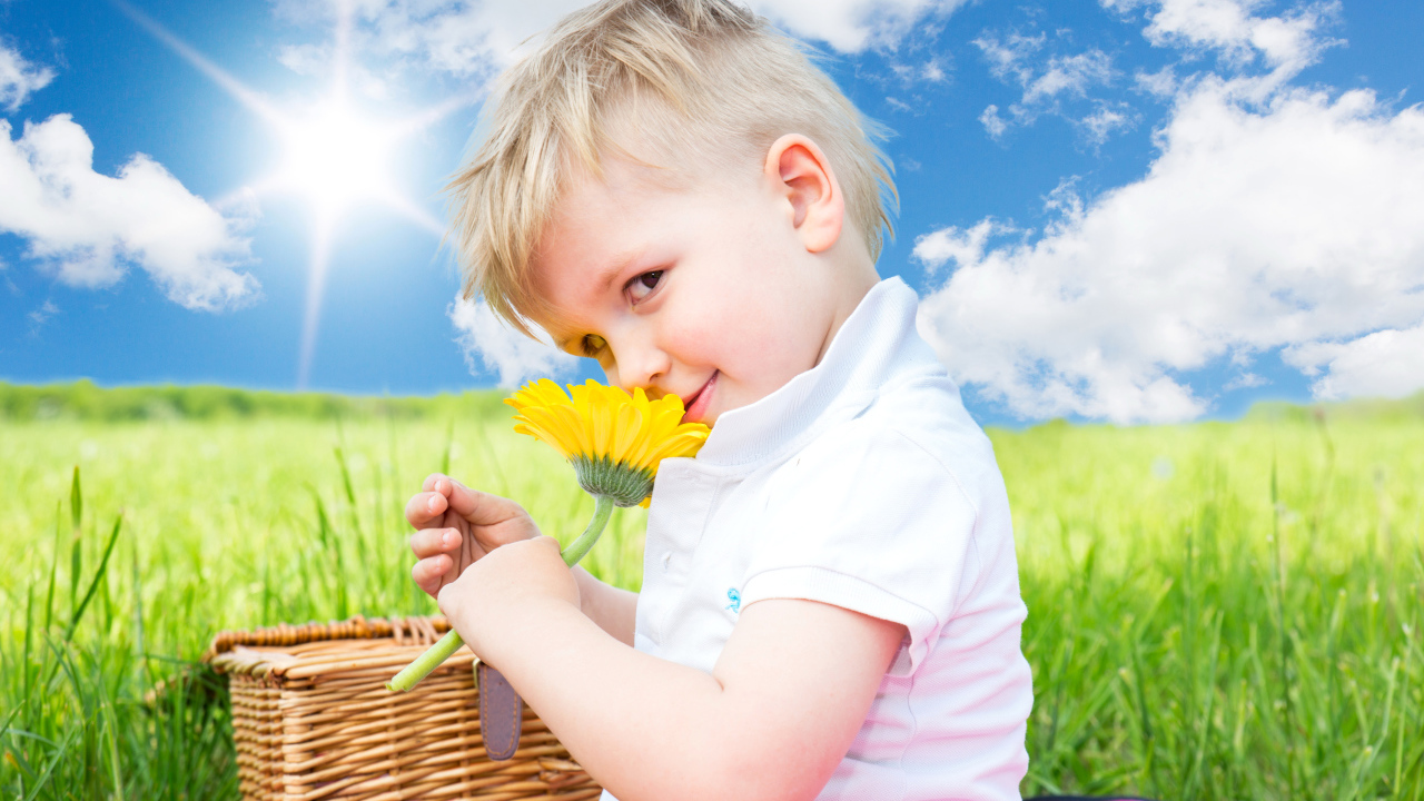 Маленький мальчик с цветком герберы на фоне голубого неба