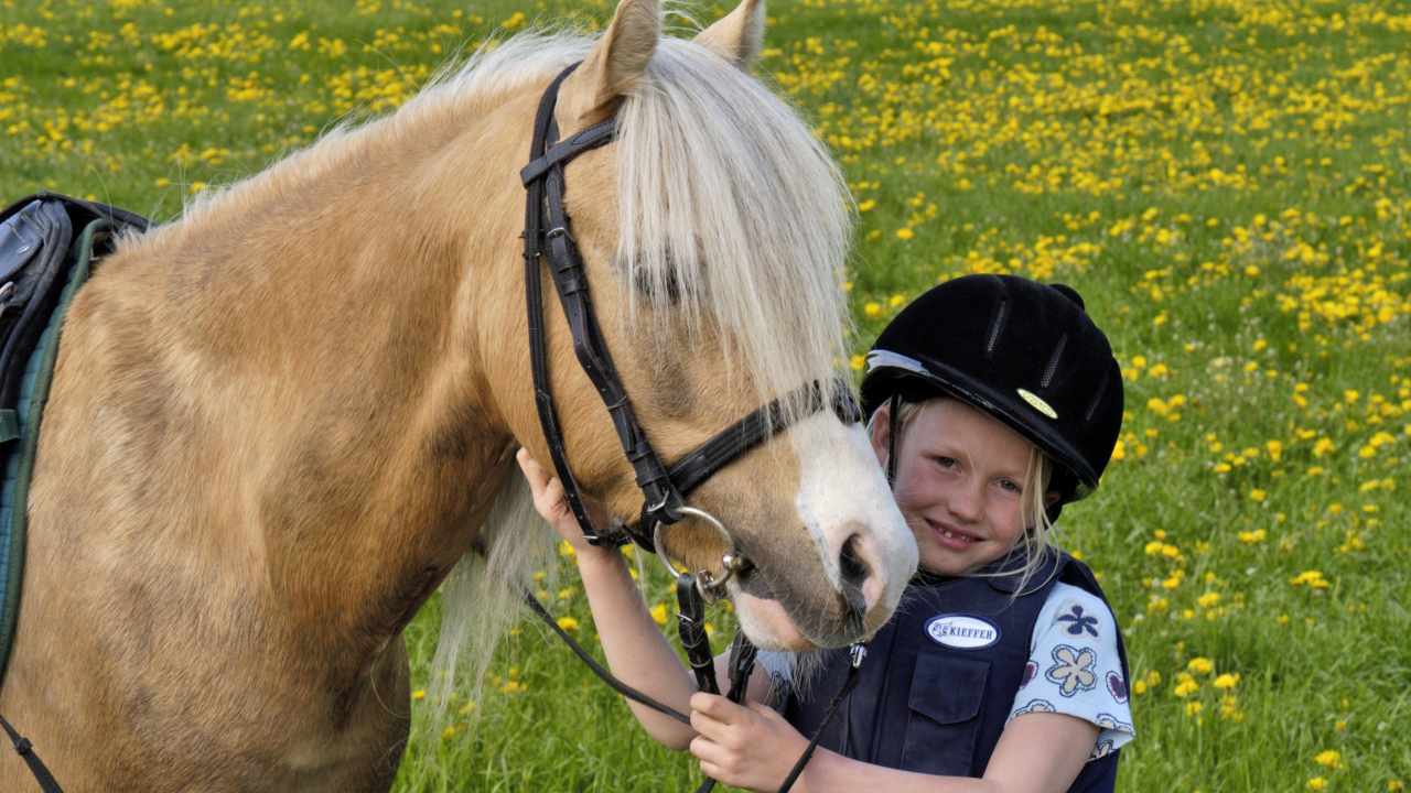 Маленькая девочка в шлеме с лошадью