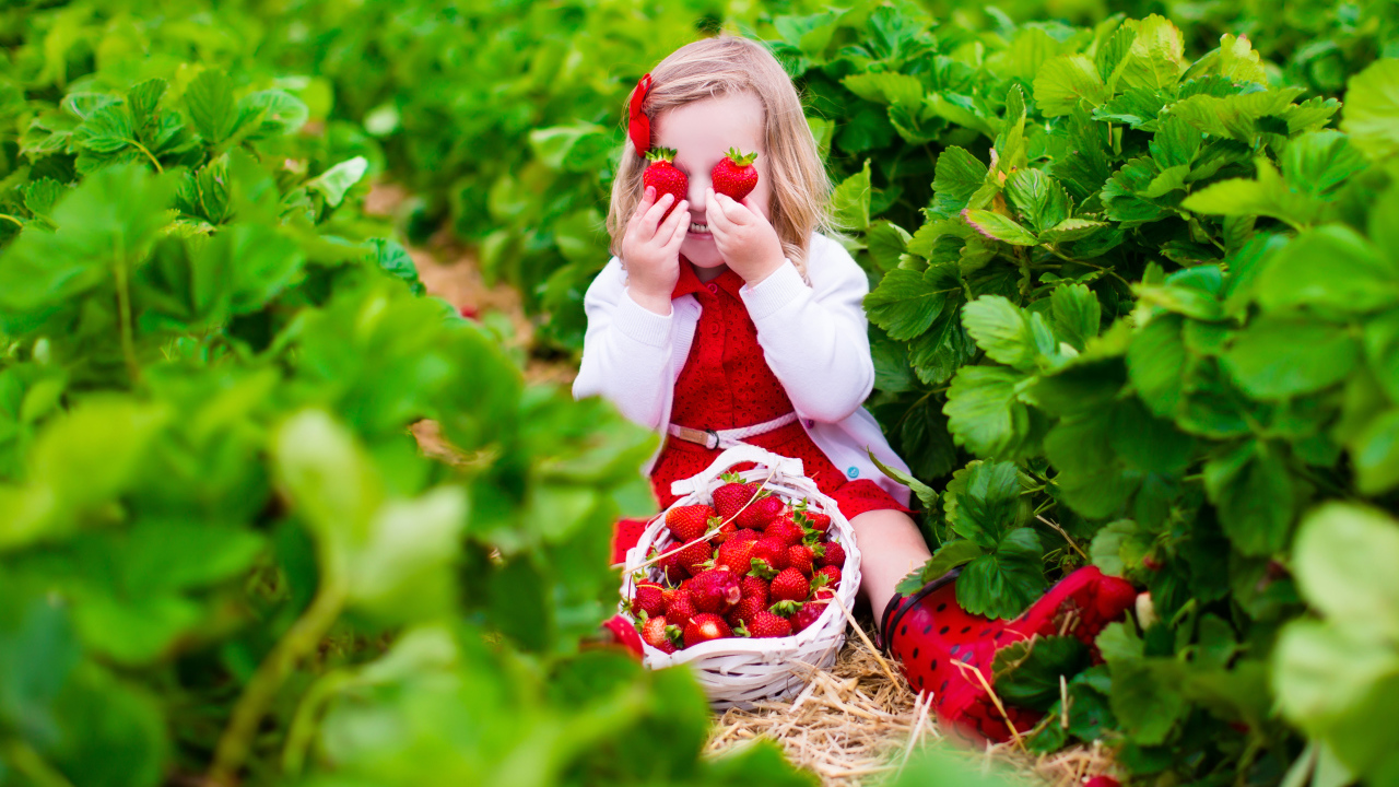Маленькая девочка сидит на грядке с красной клубникой
