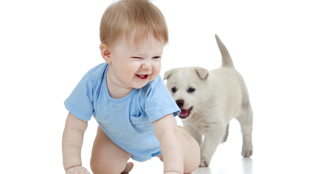 Маленький улыбающийся мальчик с щенком на белом фоне