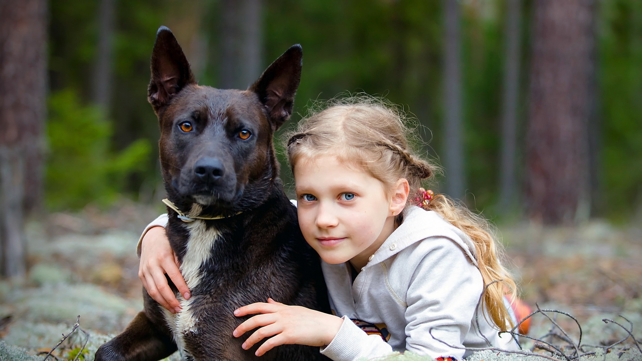 Милая голубоглазая девочка с большой черной собакой