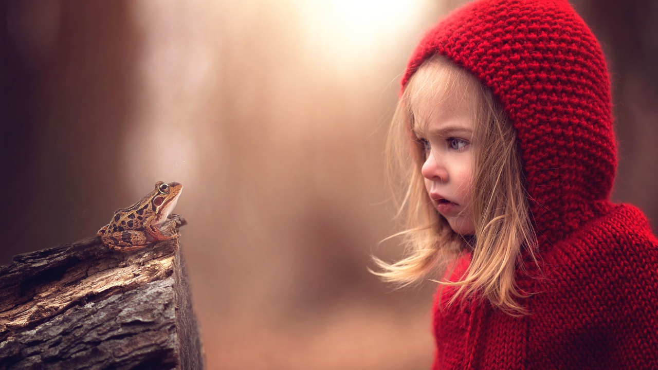 Удивленная девочка в красном капюшоне смотрит на лягушку