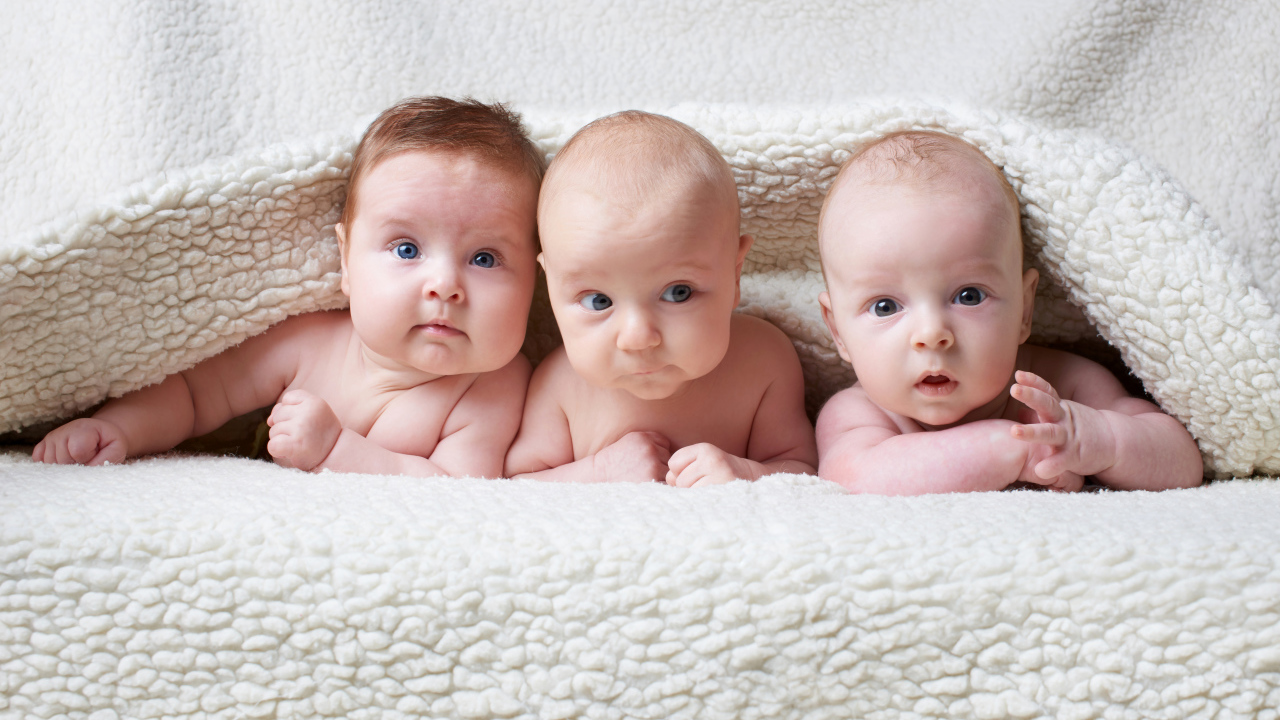 Три младенца лежат под одеялом