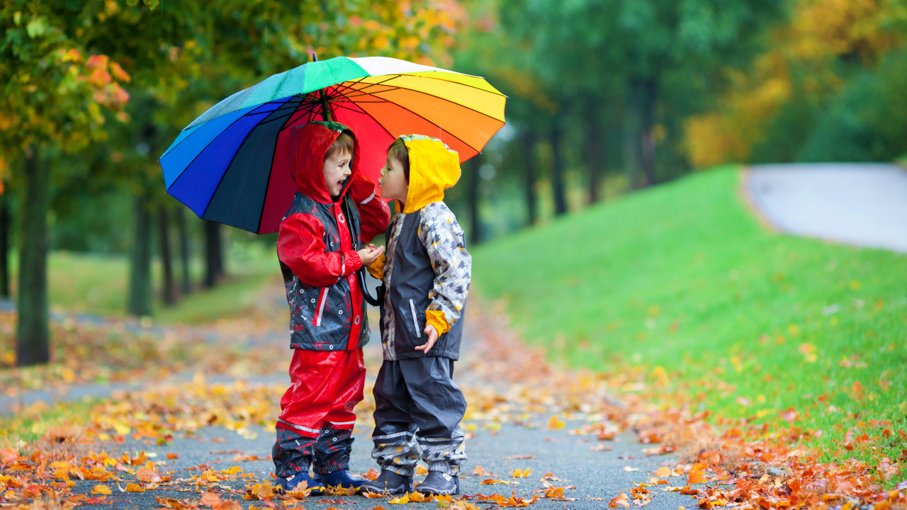 Два мальчика под разноцветным зонтом осенью