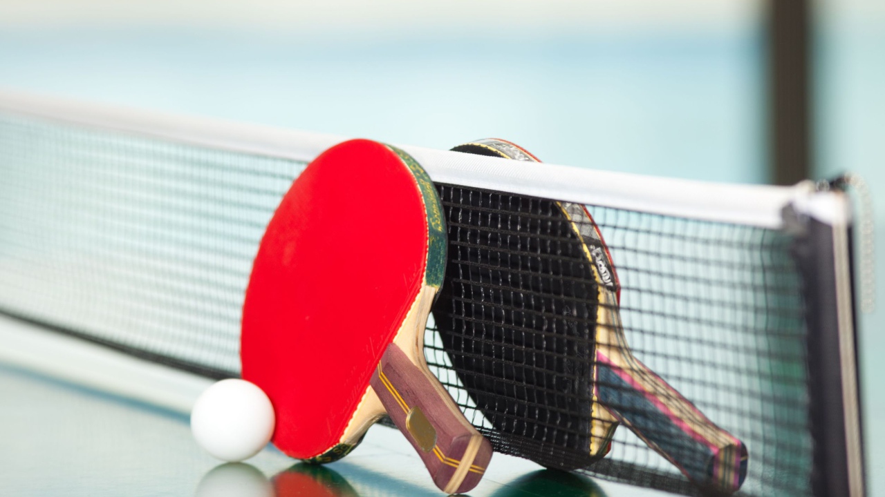 Ракетки для настольного тенниса у сетки  