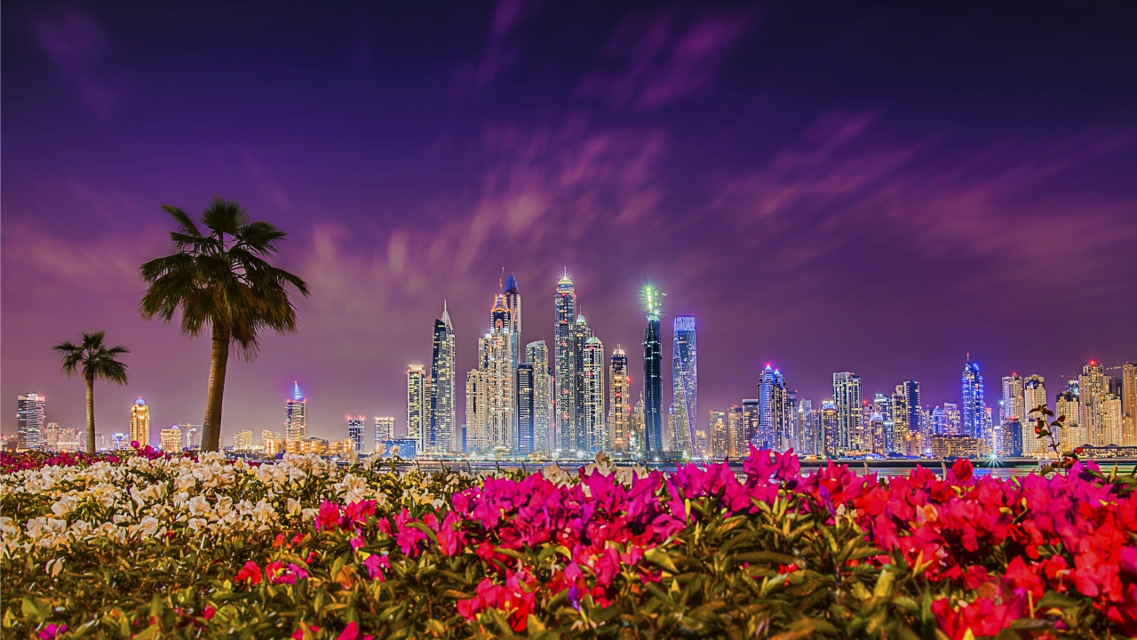 View of night skyscrapers in Dubai