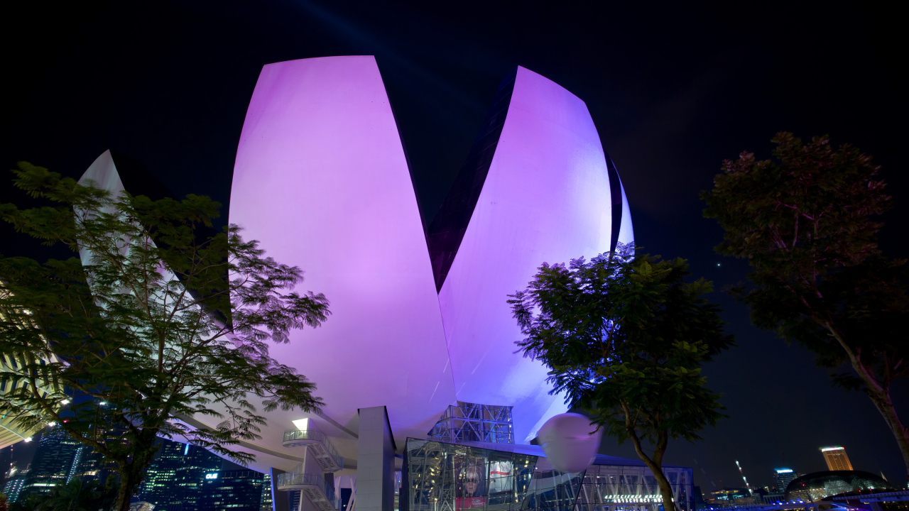 Необычное фиолетовое здание ночью, Сингапур 