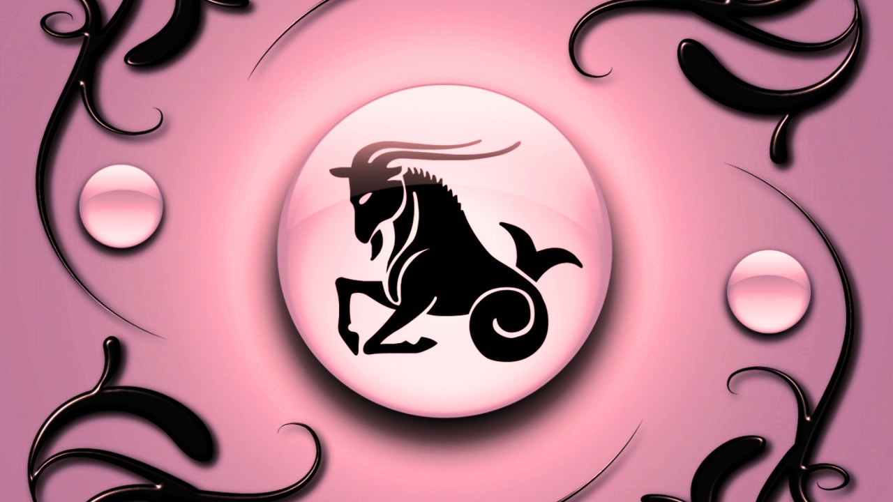 Capricorn on a pink background with black ornament