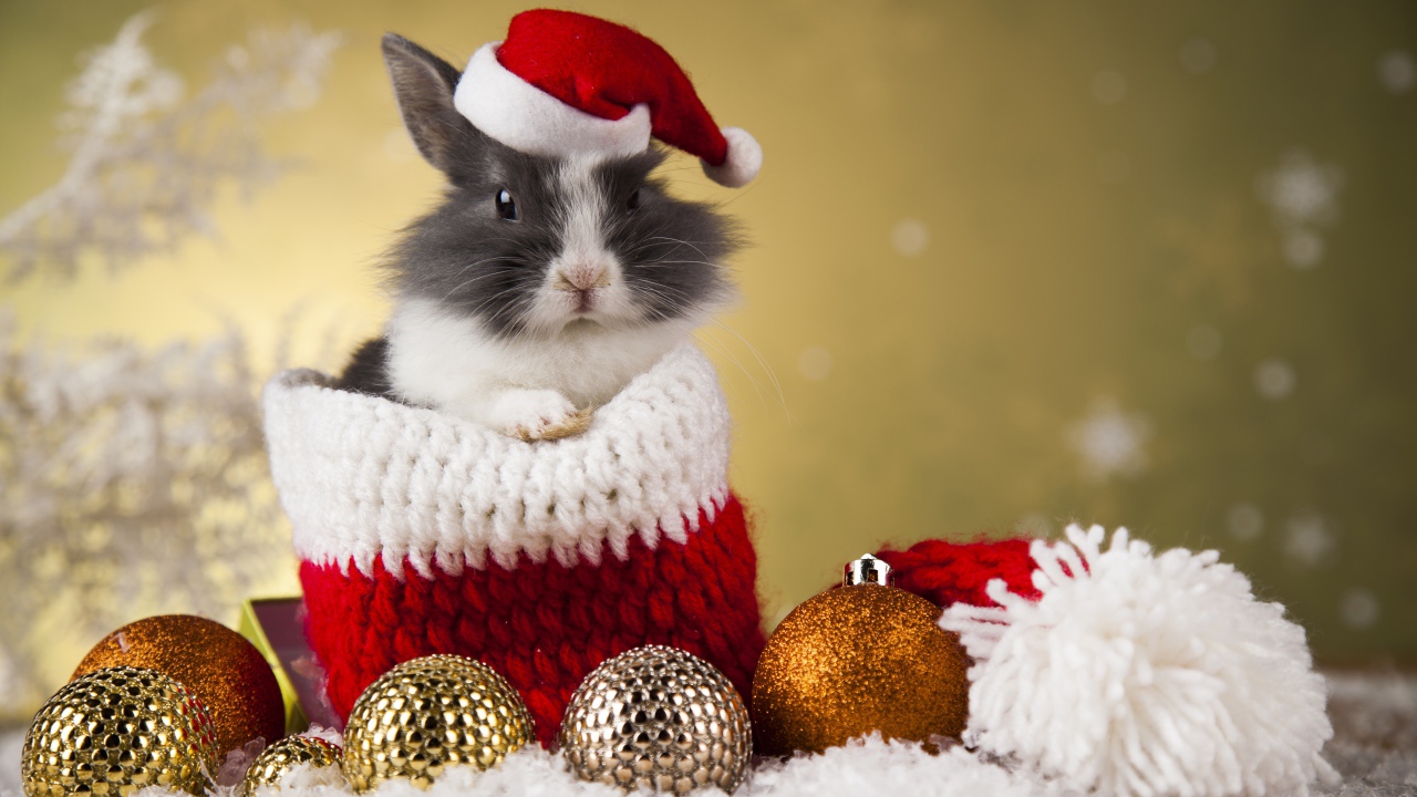 Кролик в новогодней шапке и елочными игрушками